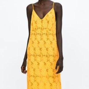 Textured Weave Lace Dress